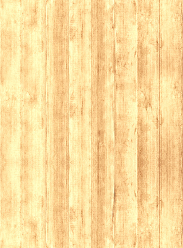 服务器攻击软件