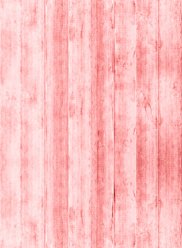 服务器攻击软件